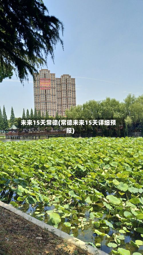 未来15天常德(常德未来15天详细预报)
