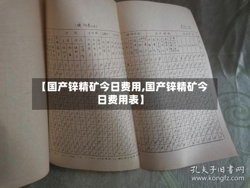 【国产锌精矿今日费用,国产锌精矿今日费用表】-第2张图片