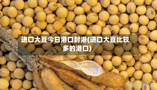 进口大豆今日港口封港(进口大豆比较多的港口)-第3张图片