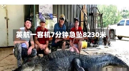 英航一客机7分钟急坠8230米-第2张图片