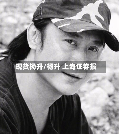 现货杨升/杨升 上海证券报
