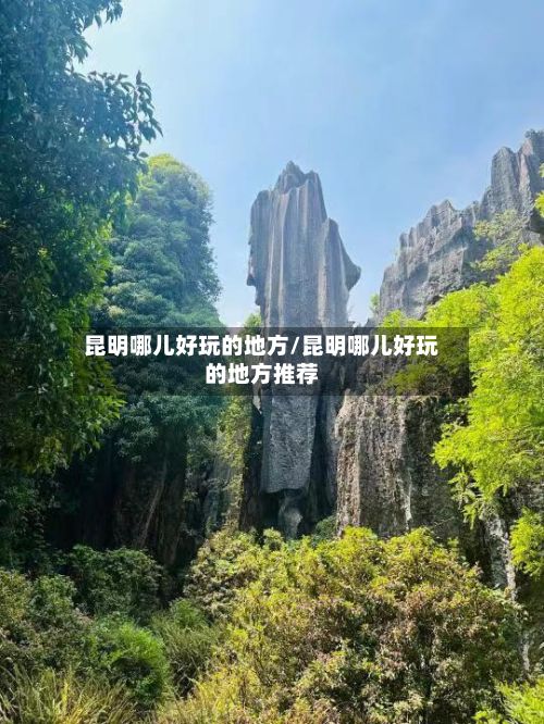 昆明哪儿好玩的地方/昆明哪儿好玩的地方推荐