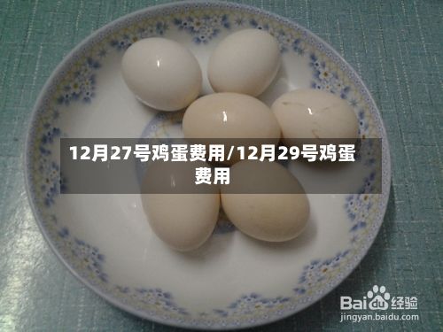 12月27号鸡蛋费用/12月29号鸡蛋费用