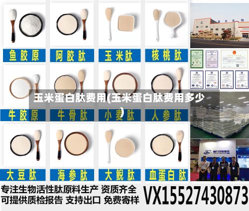 玉米蛋白肽费用(玉米蛋白肽费用多少)-第2张图片