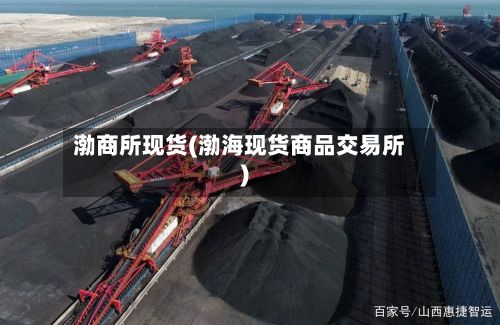 渤商所现货(渤海现货商品交易所)