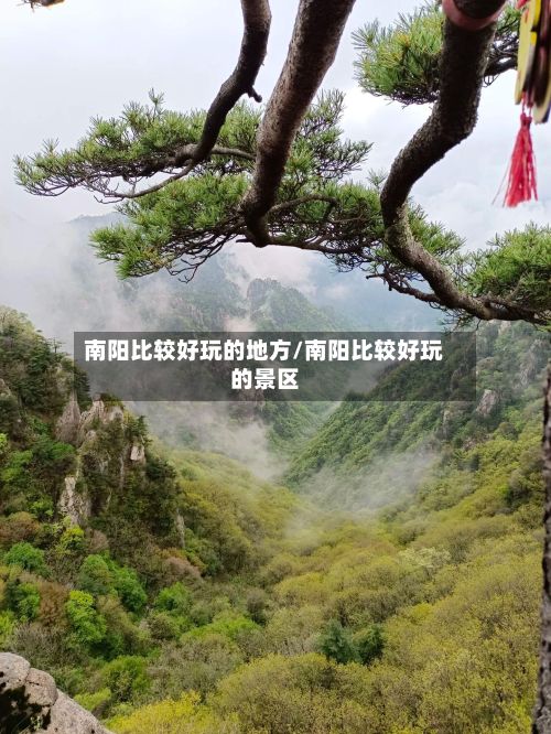 南阳比较好玩的地方/南阳比较好玩的景区