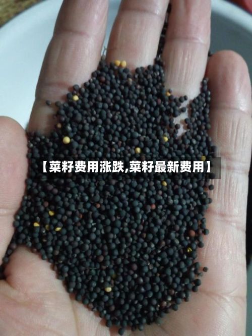 【菜籽费用涨跌,菜籽最新费用】