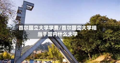 首尔国立大学学费/首尔国立大学相当于国内什么大学