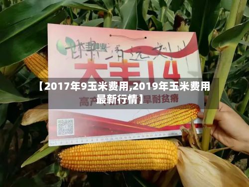 【2017年9玉米费用,2019年玉米费用最新行情】-第2张图片