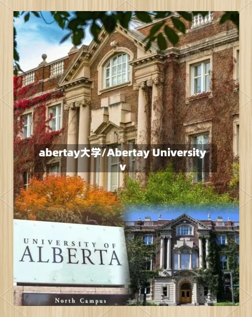 abertay大学/Abertay Universityv-第2张图片