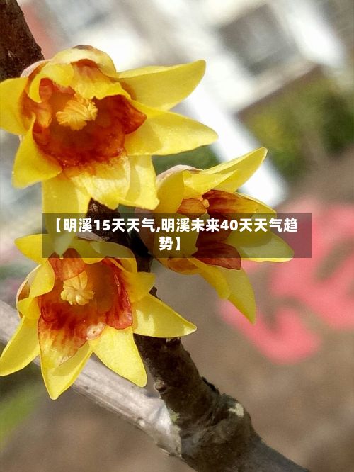 【明溪15天天气,明溪未来40天天气趋势】