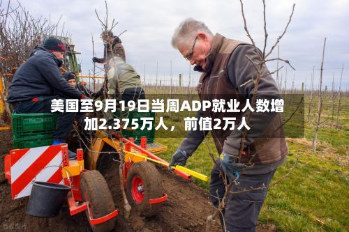 美国至9月19日当周ADP就业人数增加2.375万人，前值2万人-第2张图片