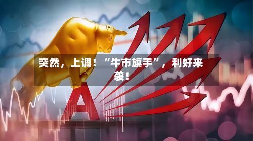 突然，上调！“牛市旗手”，利好来袭！-第3张图片