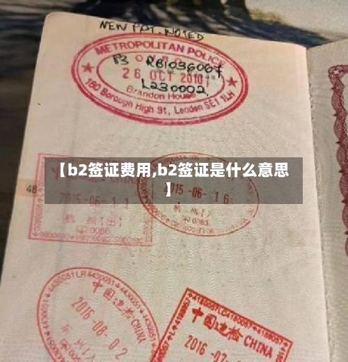 【b2签证费用,b2签证是什么意思】