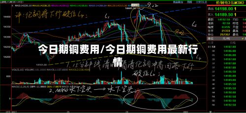 今日期铜费用/今日期铜费用最新行情