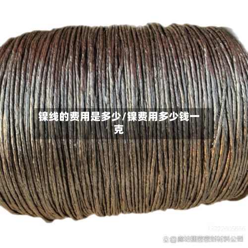 镍线的费用是多少/镍费用多少钱一克-第2张图片