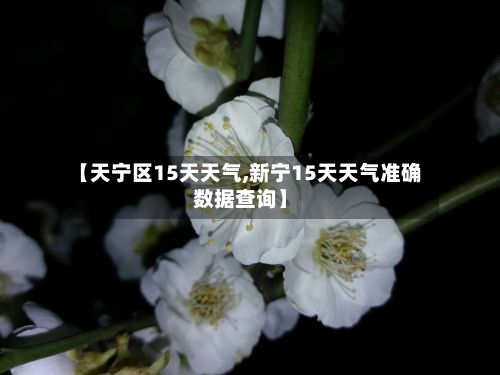 【天宁区15天天气,新宁15天天气准确数据查询】-第2张图片