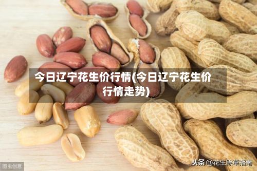 今日辽宁花生价行情(今日辽宁花生价行情走势)-第3张图片