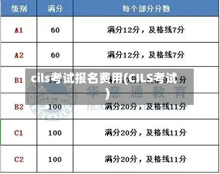 cils考试报名费用(CILS考试)