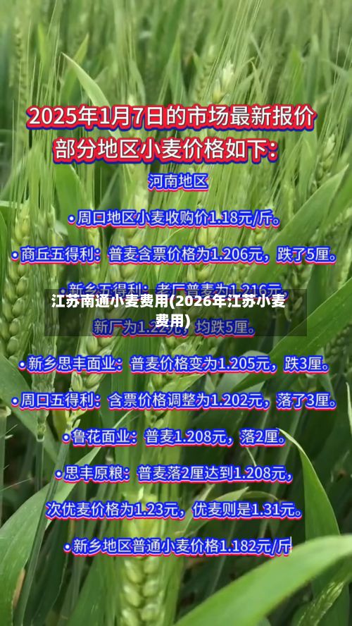 江苏南通小麦费用(2026年江苏小麦费用)-第2张图片