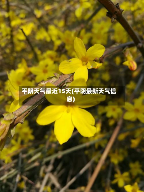 平阴天气最近15天(平阴最新天气信息)-第2张图片