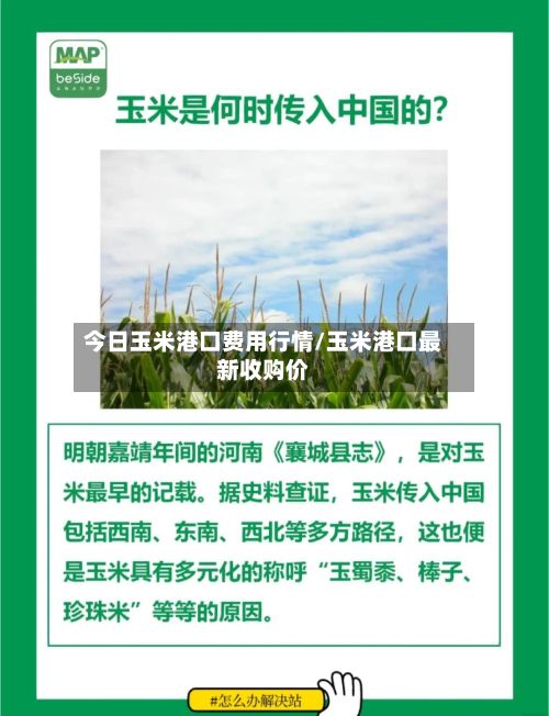 今日玉米港口费用行情/玉米港口最新收购价-第2张图片