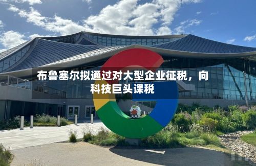 布鲁塞尔拟通过对大型企业征税，向科技巨头课税-第2张图片