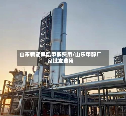 山东新能凤凰甲醇费用/山东甲醇厂家批发费用