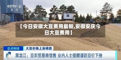 【今日安徽大豆费用最新,安徽安庆今日大豆费用】