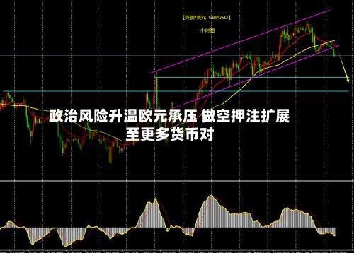 政治风险升温欧元承压 做空押注扩展至更多货币对