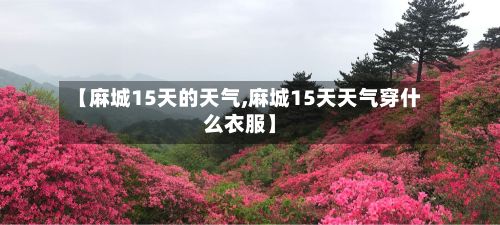 【麻城15天的天气,麻城15天天气穿什么衣服】-第2张图片