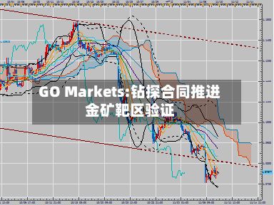 GO Markets:钻探合同推进金矿靶区验证-第3张图片