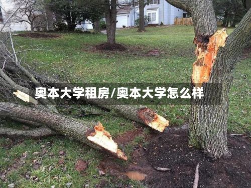 奥本大学租房/奥本大学怎么样-第2张图片