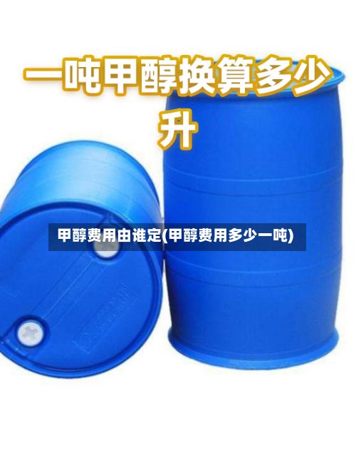 甲醇费用由谁定(甲醇费用多少一吨)-第2张图片