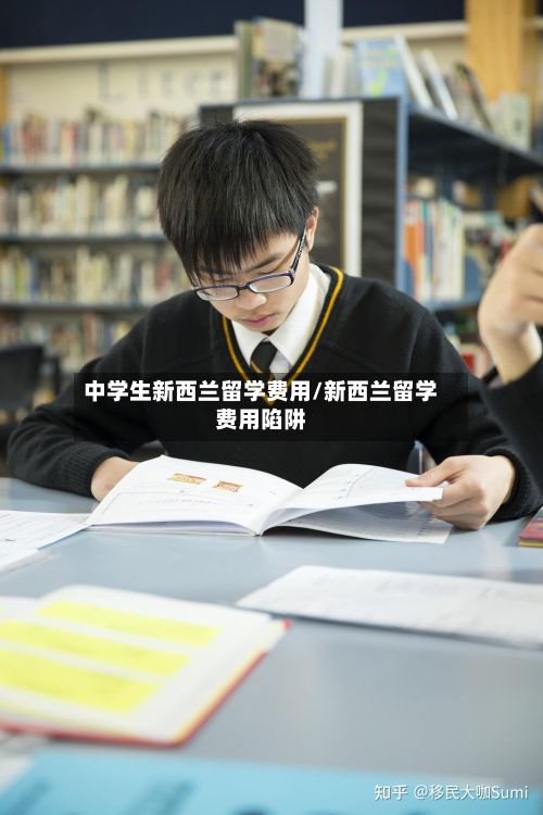 中学生新西兰留学费用/新西兰留学费用陷阱-第2张图片