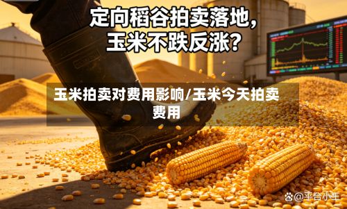 玉米拍卖对费用影响/玉米今天拍卖费用-第2张图片