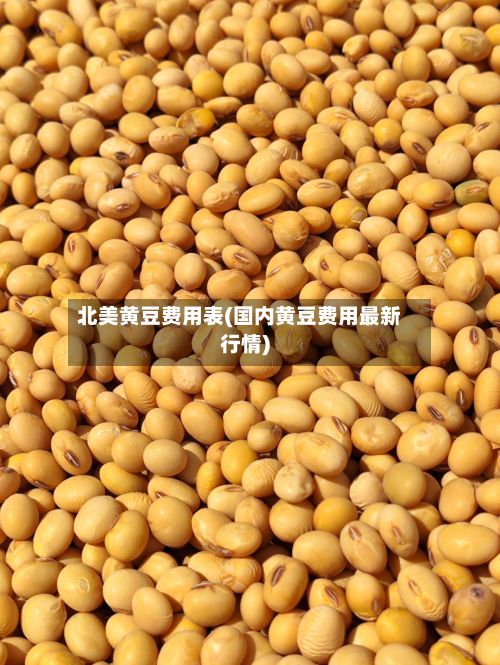 北美黄豆费用表(国内黄豆费用最新行情)-第3张图片