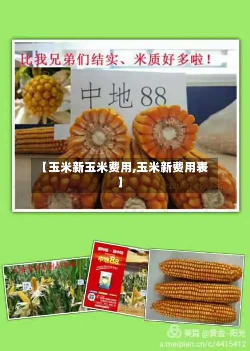 【玉米新玉米费用,玉米新费用表】
