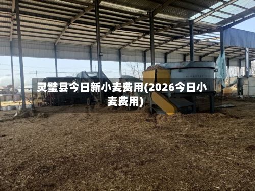 灵璧县今日新小麦费用(2026今日小麦费用)