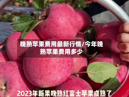 晚熟苹果费用最新行情/今年晚熟苹果费用多少