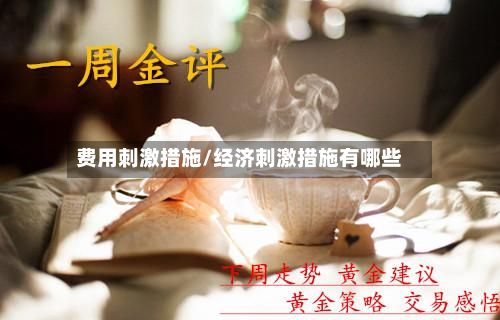 费用刺激措施/经济刺激措施有哪些