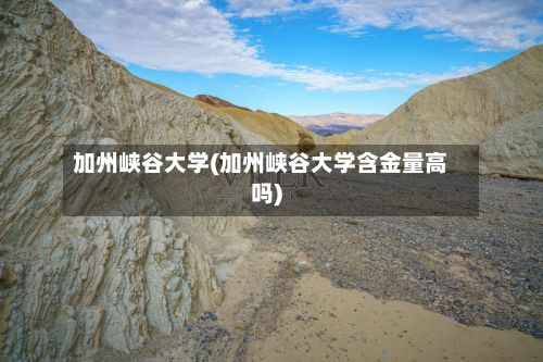 加州峡谷大学(加州峡谷大学含金量高吗)-第2张图片