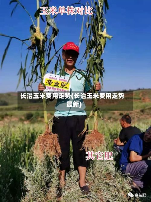 长治玉米费用走势(长治玉米费用走势最新)-第2张图片