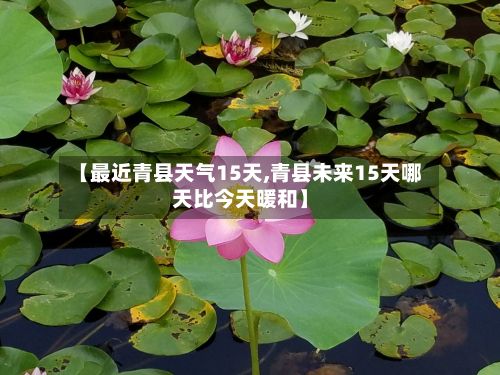 【最近青县天气15天,青县未来15天哪天比今天暖和】