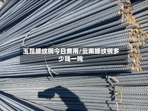 玉昆螺纹钢今日费用/云南螺纹钢多少钱一吨