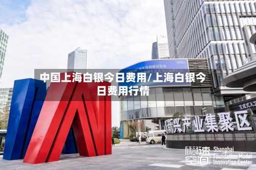 中国上海白银今日费用/上海白银今日费用行情-第2张图片
