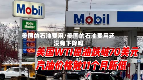 美国的石油费用/美国的石油费用还没有下降吗