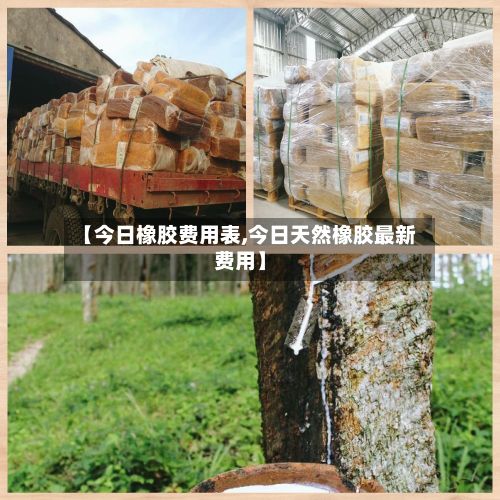 【今日橡胶费用表,今日天然橡胶最新费用】-第3张图片