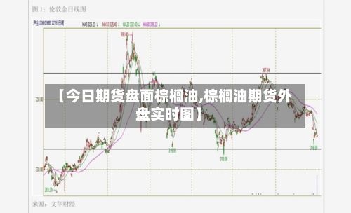【今日期货盘面棕榈油,棕榈油期货外盘实时图】-第2张图片