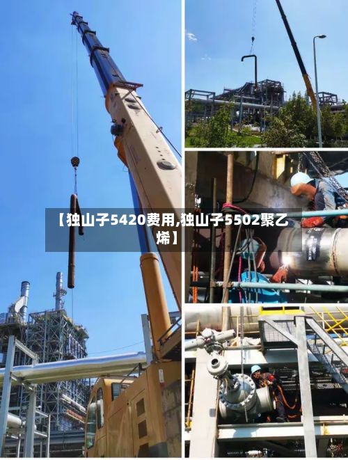 【独山子5420费用,独山子5502聚乙烯】-第2张图片